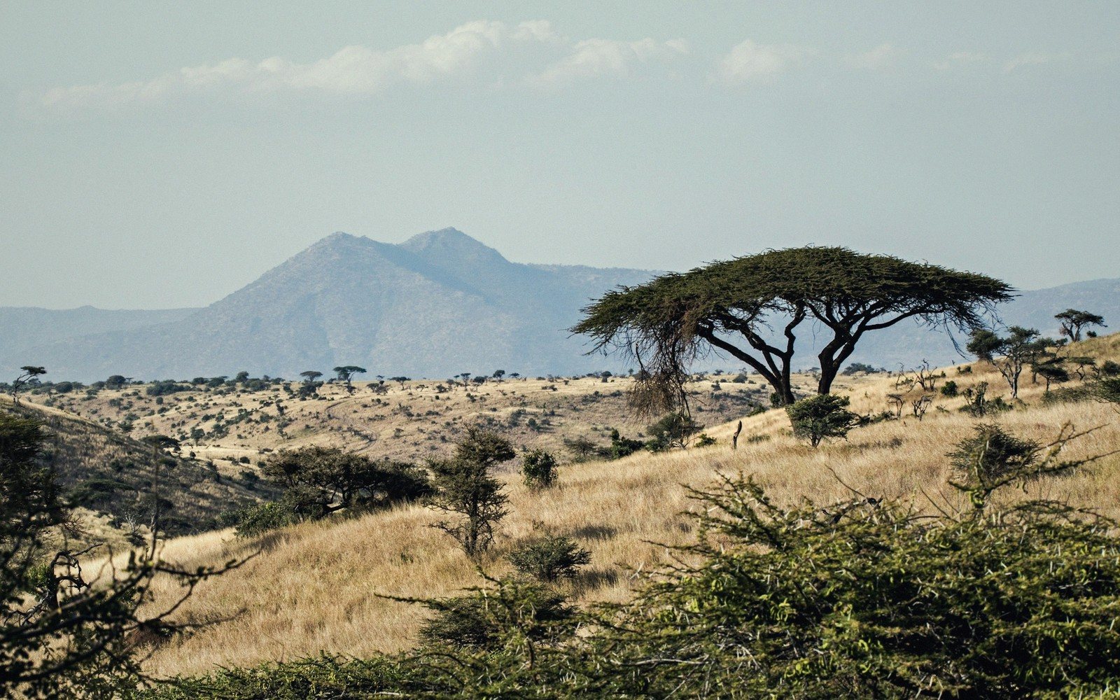 Northern Kenya: The Frontier
