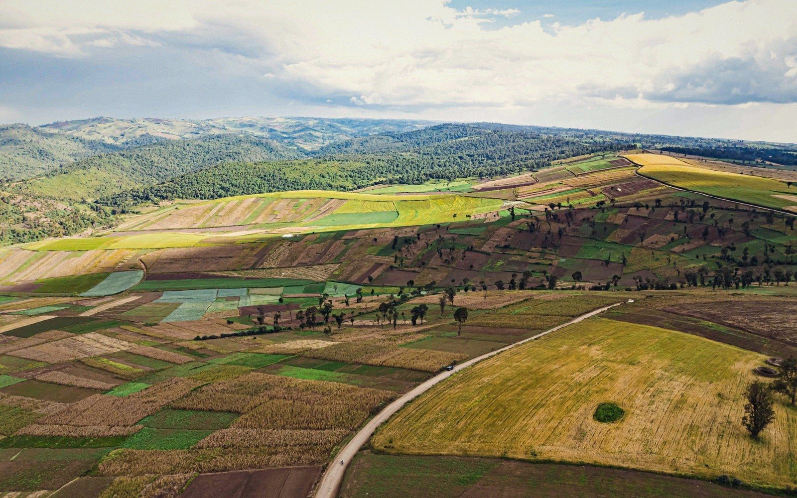 Aerial view of patchwork farmland and rolling hills in the Rift Valley